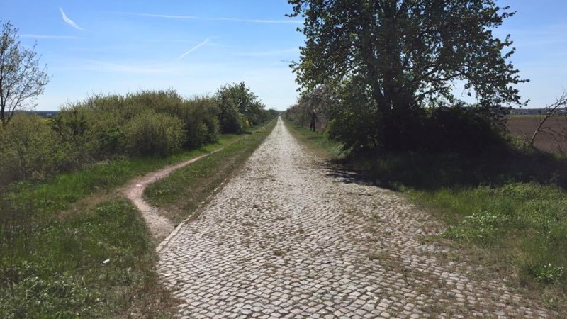 Titelbild Jakobsweg in Deutschland